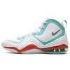 Nike Air Penny 5 Dolphins 2020 CJ5396-100
