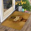 Pop Rock Band I-Imagine D-Dragons Entrance Door Mat Washable Non-Slip Living Room Sofa Chairs Area Mat Kitchen Welcome Doormat