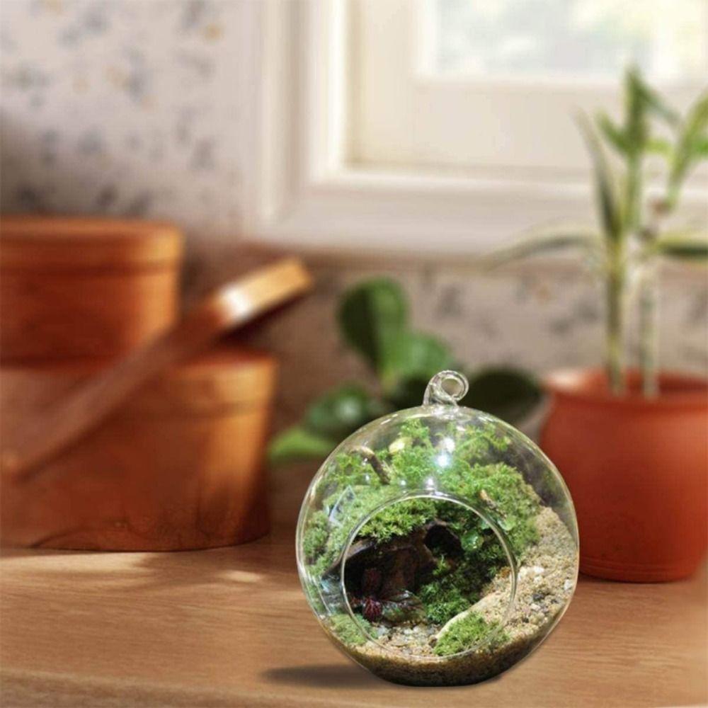 Ball Hanging Tealight Holder Transparent Glass Planter Succulents Plant Ball Container Hydroponics