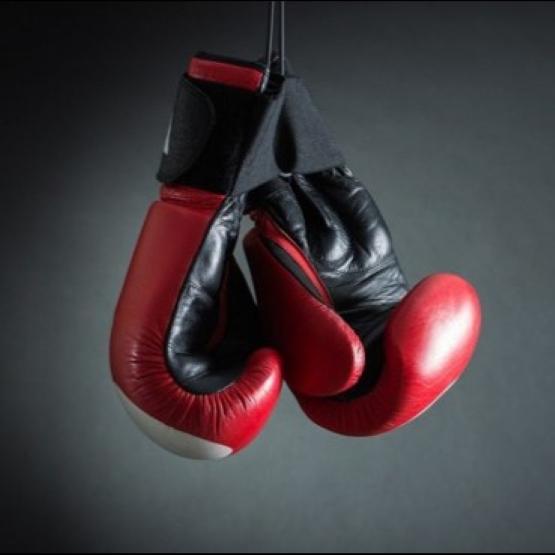 Бокс Кикбоксинг Тайгер Муай Тай ММА UFC куртка капюшон толстовка с длинным рукавом унисекс мужчины женщины молния полиэстер тренировка принт обучение