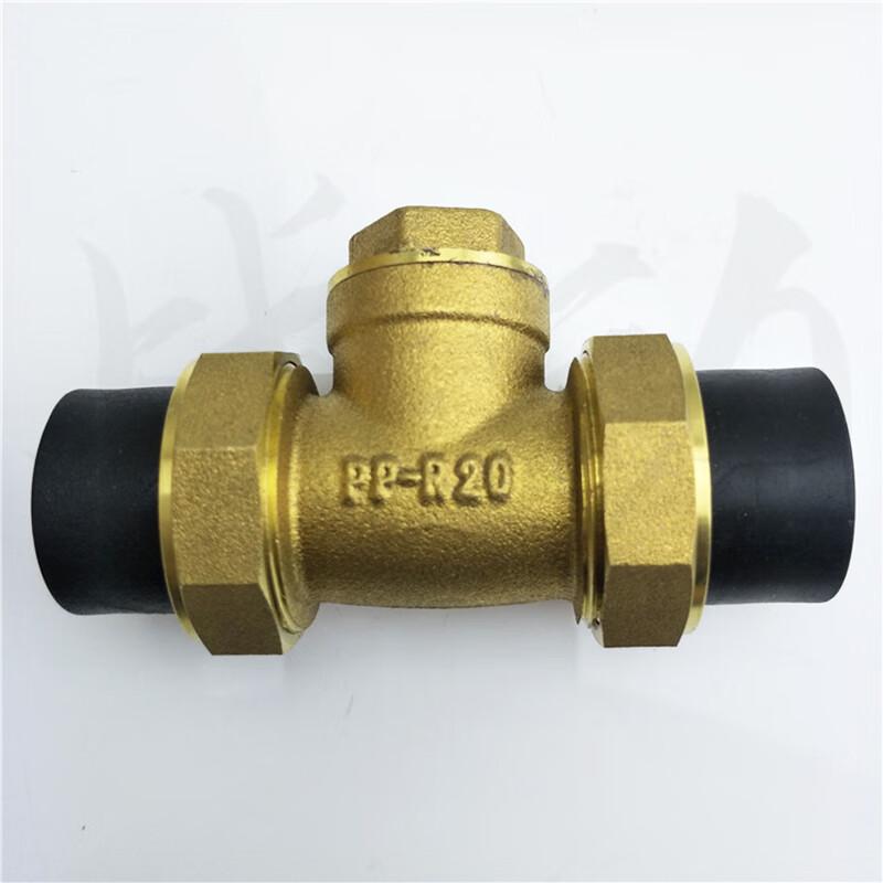 Zhandong PE Check Valve