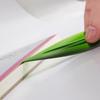 Supplies Student Stationery Envelopes Opener Willow Leaf Letter Opener Express Opener Lancet Paper