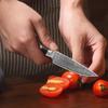 Damascus VG10 Kitchen Knife with Color Wood Handle Peeling Fruits Vegetable Sushi Knife Chef Cooking Knife