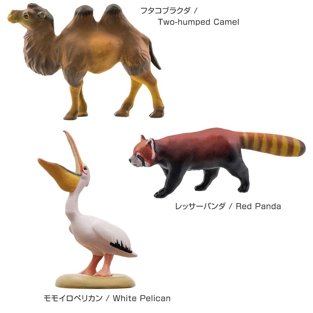 COLORATA 3D Путеводитель по животным Зоогеография Коробка 3 Палеарктическая и Неарктическая области Коробка с фигурками животных и буклетом