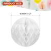 10pcs Tissue Paper Pom Poms Flower Balls Party Hanging Paper Flower Balls Decoration for Birthday Wedding Home Backdrop Decor