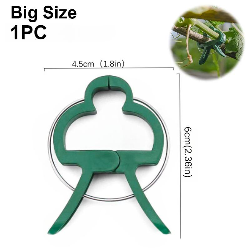 50 шт. фиксированных зажимов для растений, многоразовый зажим для садовой теплицы, кронштейн для фиксированных растений, инструментов для поддержки стеблей саженцев виноградной лозы