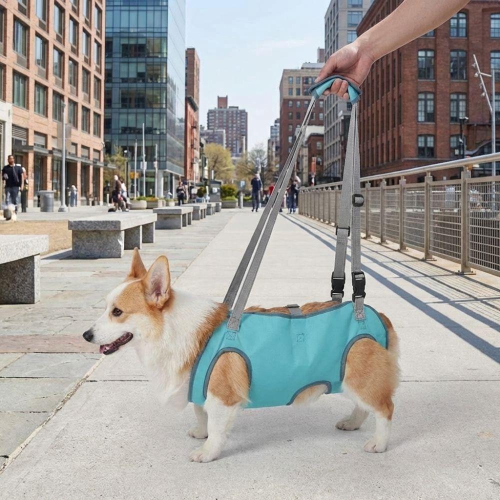 Adjustable Pet Auxiliary Vest Soft Lining Full Body Support Support Harness Mobility Aid Thicken Handle Dog Lift Strap