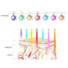 7 цветов PDT светодиодная фотонная маска, нагревательная терапия, спа-машина для лица и тела, удаление веснушек, лифтинг против морщин, отбеливание, омоложение