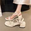 Fashion French Block Heel with Skirt and Sandals Women's Summer New Fairy Style Temperament One-word Strap Non-tiring High Heels