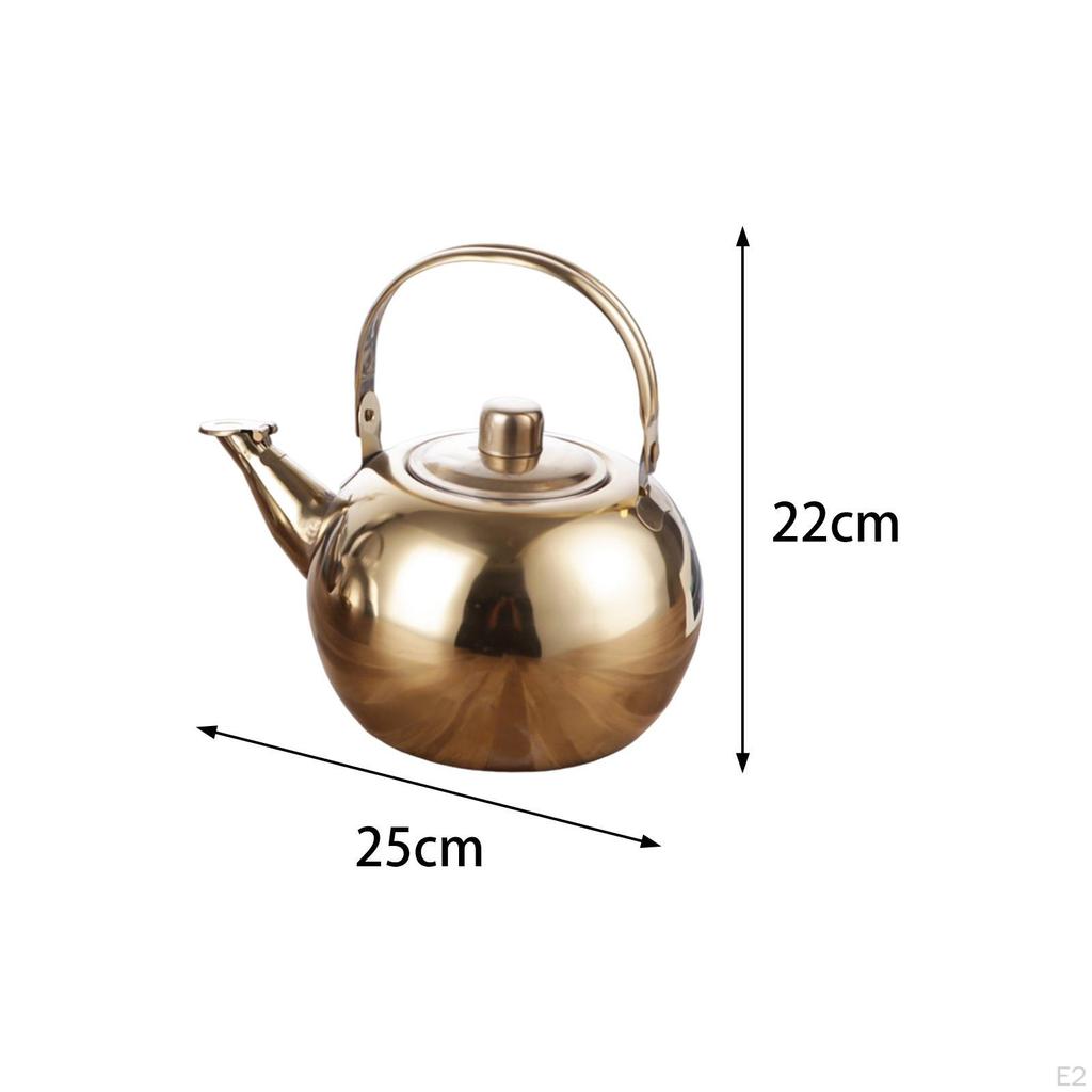 Sleek Stainless Steel Tea Infuser Kettle for Home and Garden