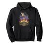 Disney Aladdin Jasmine Magic Carpet Ride 30th Anniversary Hoodie