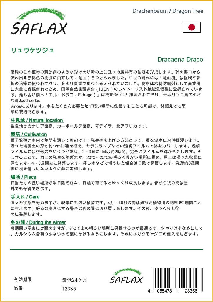 SAFLAX Драконово дерево - 5 семян - Dracaena Draco