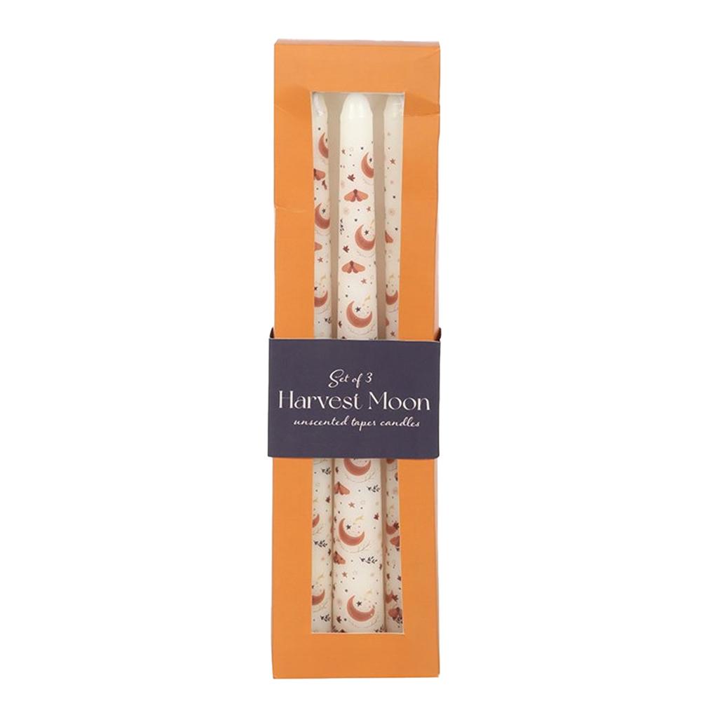 Something Different Taper Harvest Moon Candle Set (Pack of 3)