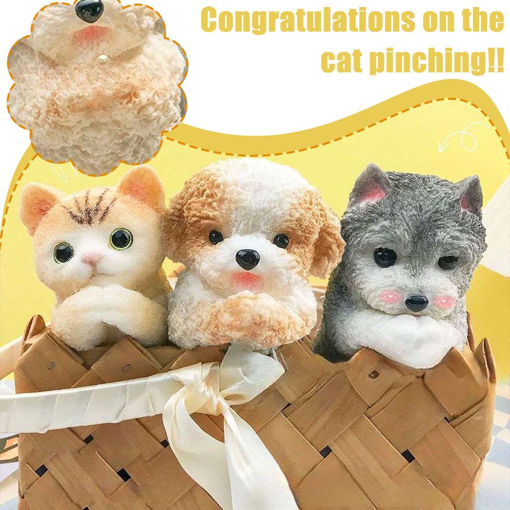 Congratulations Schnauzer Cat Teddy Simulation Large To Relaxing Pinch Cat Gift Schnauzer Congr O3P9