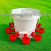 Automatic Poultry Water Feeder with Bucket for Chicken, Duck, Goose & Bird