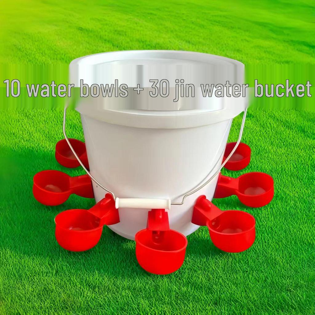 Automatic Poultry Water Feeder with Bucket for Chicken, Duck, Goose & Bird