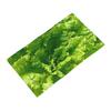 Lettuce closeup Soft Face Towel Quick Dry Pool Bath Cotton Towels Breathable