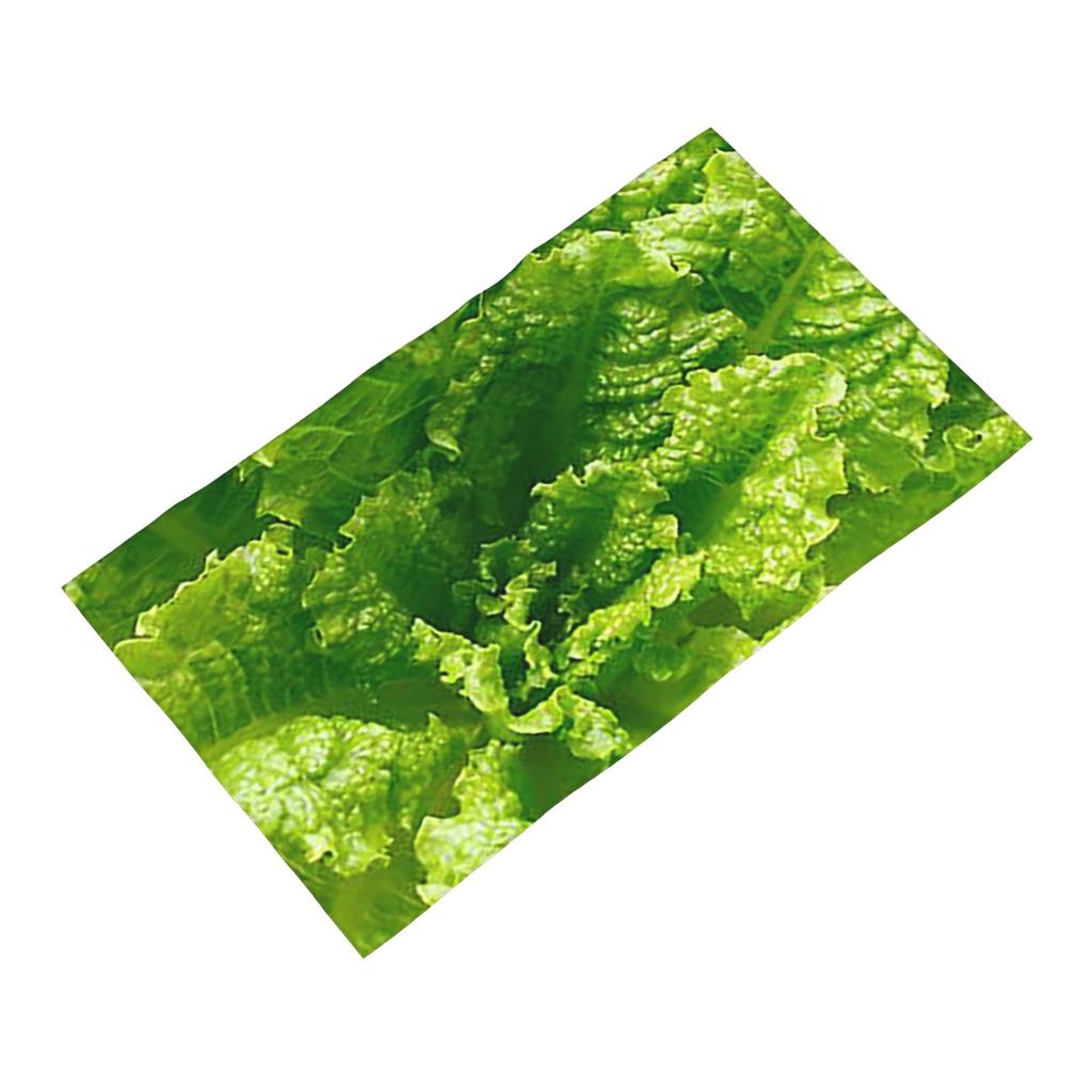 Lettuce closeup Soft Face Towel Quick Dry Pool Bath Cotton Towels Breathable