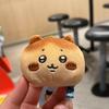 Cartoon Chiikawa Usagi Plush Collection With Pp Cotton Filling For Kids And Collectors