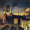 CD PINK FLOYD Animals 28DP5006 CBSSony 1988 Япония Рок Б/У