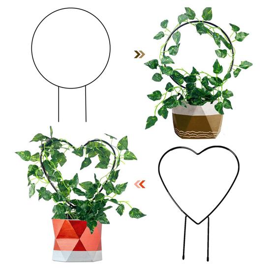 Plant Circle Trellis Climbing Plants Coated Wire Trellis Planter Insert Heart