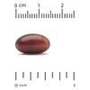 Lake Avenue Nutrition, Витамин K2 (менахинон-7), 50 мкг, 360 растительных мягких капсул