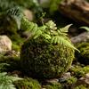 Humidity Maintaining Planter Moss Ball Flower Pot, Natural Green Bonsai Plant Holder, Decorative Spherical Pot for Home, Garden, Wedding Party