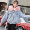 Winter Women Jacket Furry Hood Thickened Plush Long Sleeves Pockets Button Closure Flap Pockets Coat Short Type Windproof Warm Coat