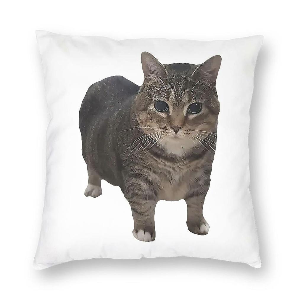 Spinning Cat Maxwell The Cat Pillowcase Polyester Linen Velvet Pattern Zip Decor Bed Cushion Cover