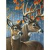 Frame 5D Diamond Painting Deer Full Round Diamond Embroidery Animal Mosaic Kit Wall Paintings 30x40cm