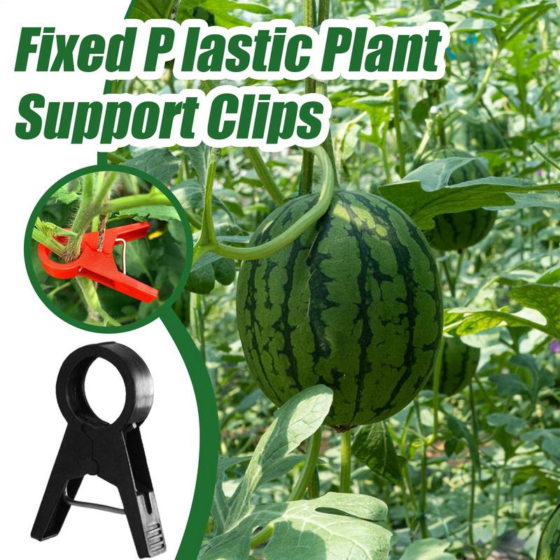 Tomato Trellis Clips 100 Pieces Tomato Cage Garden Orchid Clips Gardening Supplies Climbing Plant Clip Reusable For