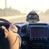 Nautical Compass Car Compass Sea Marine Navigation Declination Adjustment Guide