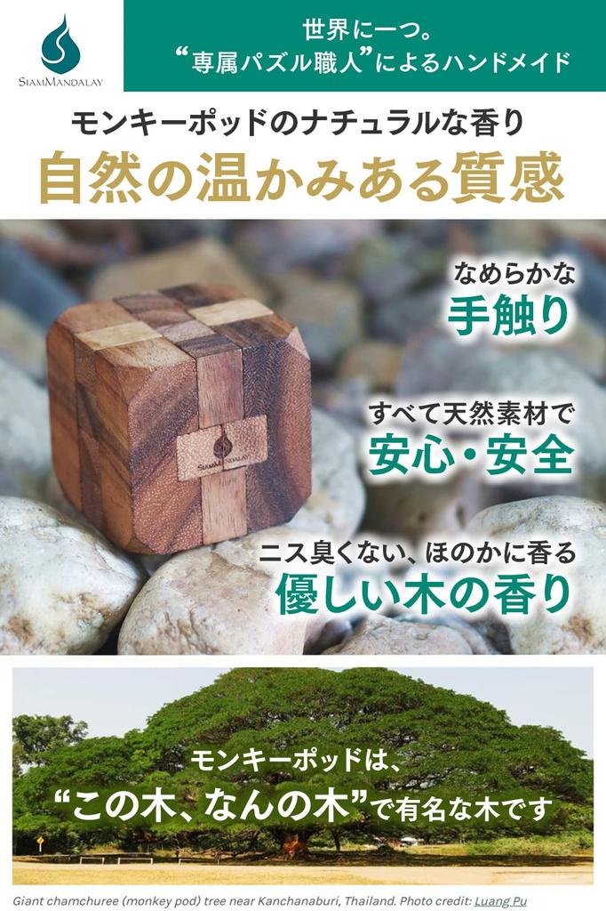 In 5 Minutes To Become the Puzzle Siam Mandalay 3D Puzzle Set of Educational Wooden Wood Magic Kongming Brain Training Cram Unisex [Solve King] 6,
