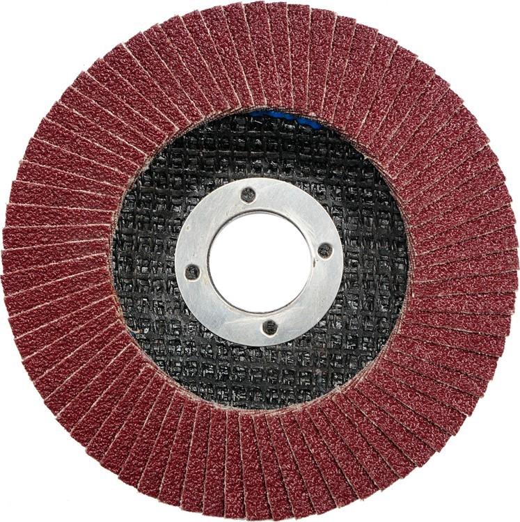 Flap disc grinding wheel p80 115 07976 VOREL
