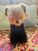 [USED] STEIFF/Vintage/Bear/Teddy Bear