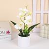 Многоцветные Имитационные Аксессуары для Бонсай Искусственный Фаленопсис в Горшке Украшение для Дома и Офиса