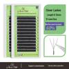 ANNAFRIS 5D Four-Leaf Clover Easy-Anchor Soft Dense W-Shape Pre-made Fan Eyelashes