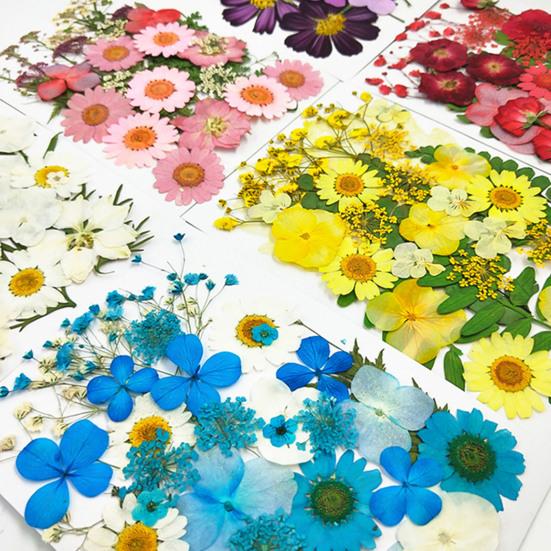 1 Set Dried Pressed Flowers Kit Colorful Natural Flowers DIY Art Crafts Supplies Resin Jewelry Epoxy Mold Candle Soap Vase Making Nail Card
