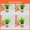 Perennis Potted Bellis Plant Linen Flower Pot For Hotel Dining Decoration Room
