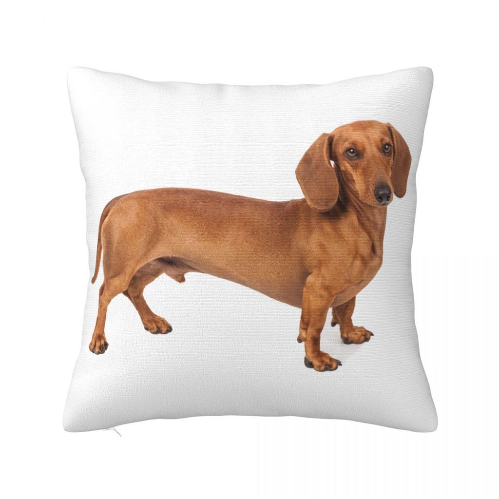 Dachshund Dog Square Pillow Covers Polyester Home Wiener Sausage Doxie Cushion Case Cute Decor Pillowcase 4040