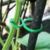 Garten Rebe Umreifung Clips Pflanze Gebündelt Schnalle Ring Halter Tomaten Garten Pflanze Stehen Werkzeug Garten Dekor Gem