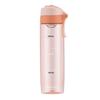 LOCK&LOCK Portable Stainless Steel Sports Water Bottle with Tea Infuser