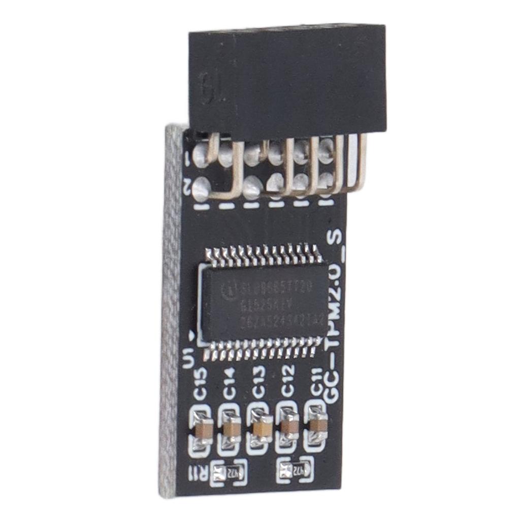 Модуль TPM 2.0 LPC SPI 12Pin Remote Card Encryption Security Board Аксессуар для GIGABYTE