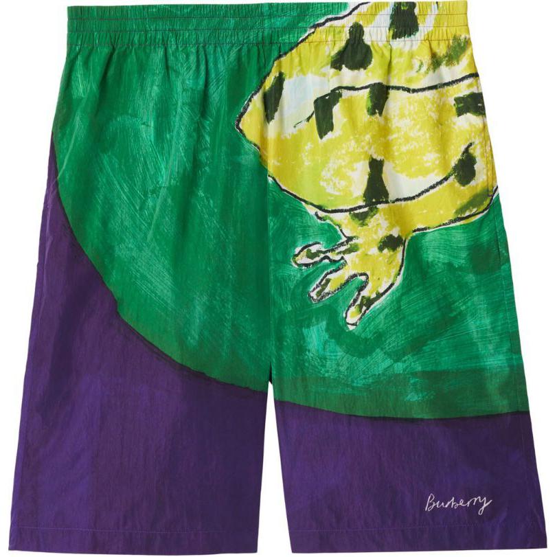 Burberry Casual Shorts Men's Multicolor 80835441