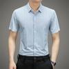 Summer New Striped Slim-Fit Short-Sleeved Lapel Shirt Men's Young and Middle-Aged Business Thin Shirt