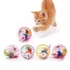 Kitten Interactive Cat Accessories Indoor Play Cat Toys Cage Mouse Toy Cat Teaser Toy Pet Supplies