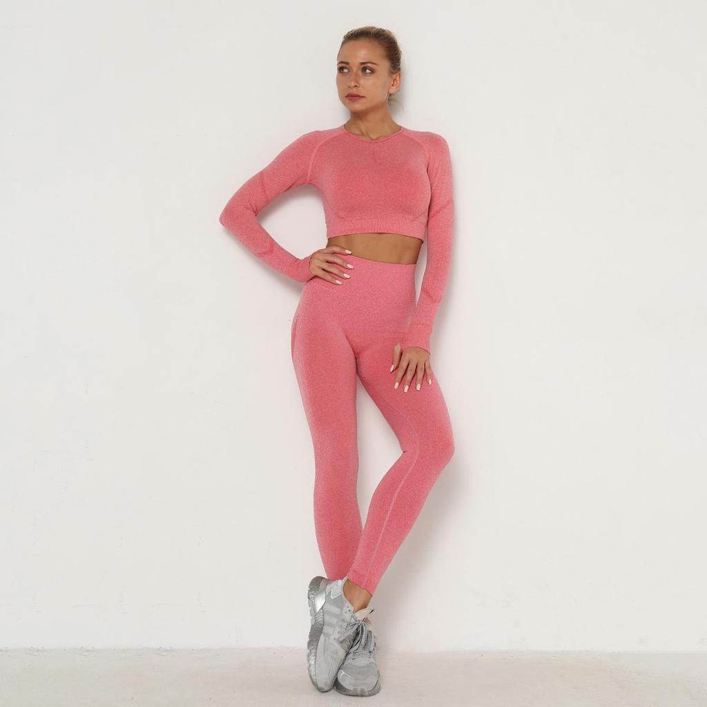 Women Seamless Yoga Suit Sweat Absorbing Hip Lifting High Waist Fitness Pants Tight Long Sleeve Sports Suit