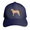 Chesapeake Bay Retriever Colorful Silhouette Baseball Cap Casual Daily Wear Quick Dry Performance Cotton Twill Breathable