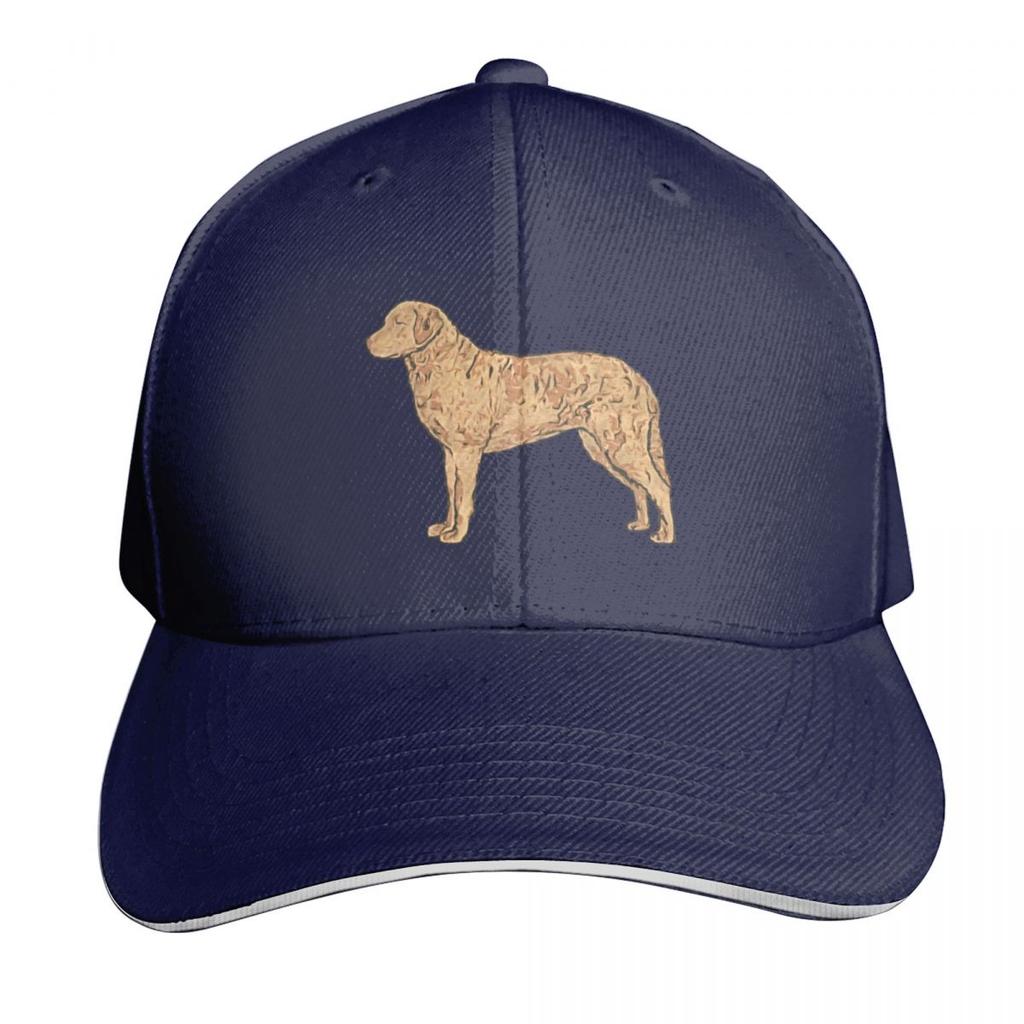 Chesapeake Bay Retriever Colorful Silhouette Baseball Cap Casual Daily Wear Quick Dry Performance Cotton Twill Breathable