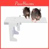 Catch Mouse Trap Rat Trap Catch Walk The Plank Humane Bucket Mice Auto Reset New